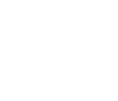 VISION AUTOMOTRIZ