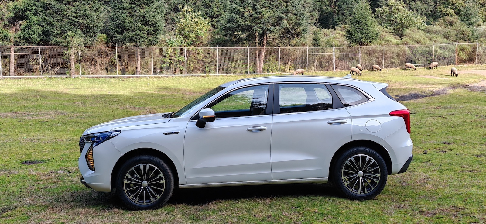 Vision Automotriz » Blog Archive » GWM Haval Jolion Híbrido: El SUV híbrido compacto más tecnológico y accesible de México